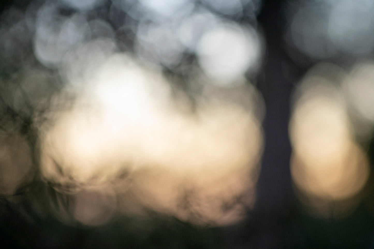 Into Darkness No. 08