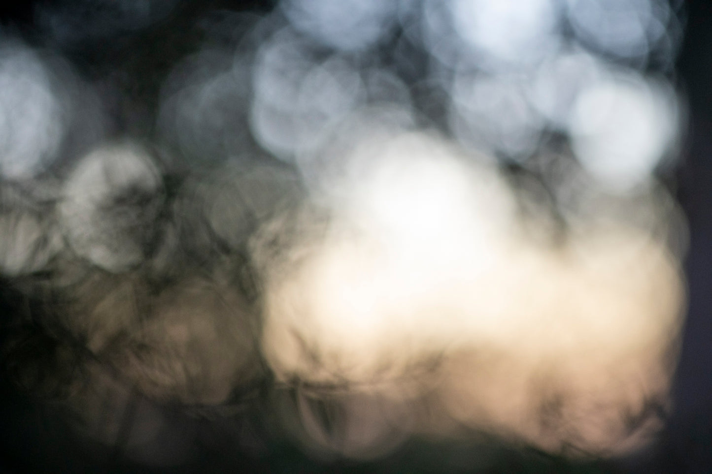 Into Darkness No. 07