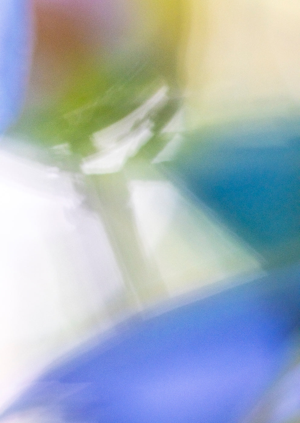 Lightness of Being a Leaf No. 12