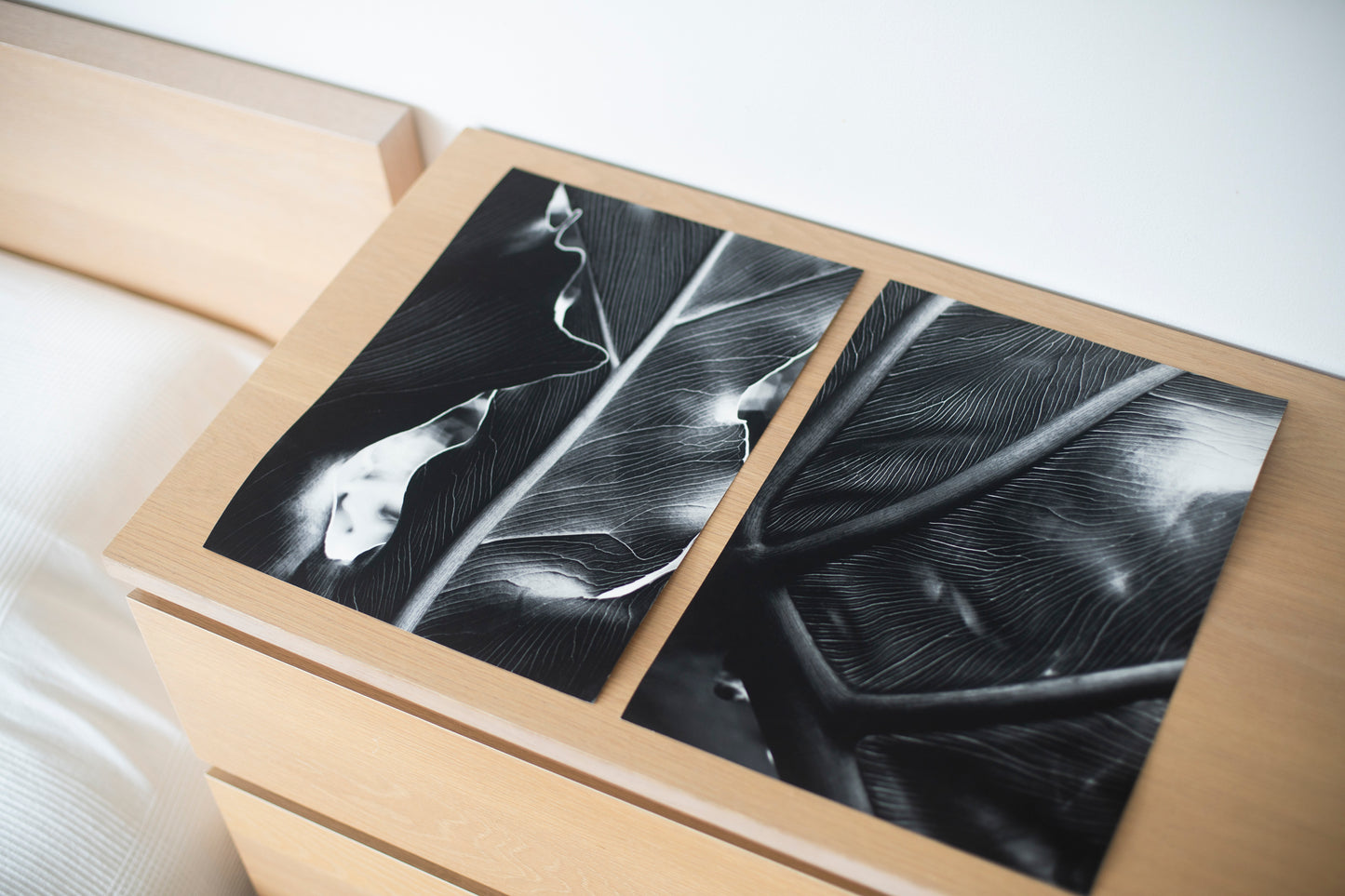 The Self in Botanical Form No. 02