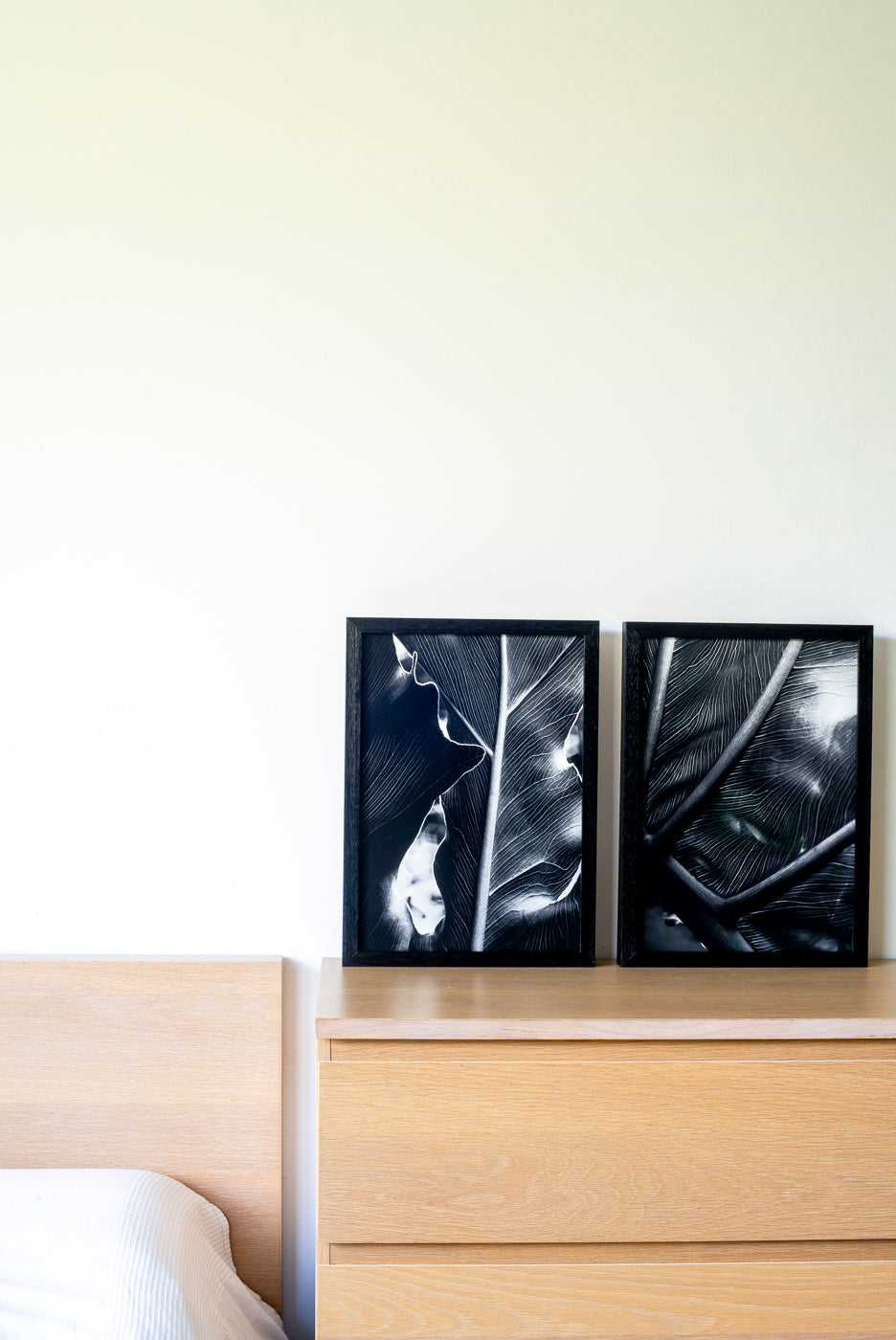 The Self in Botanical Form No. 01