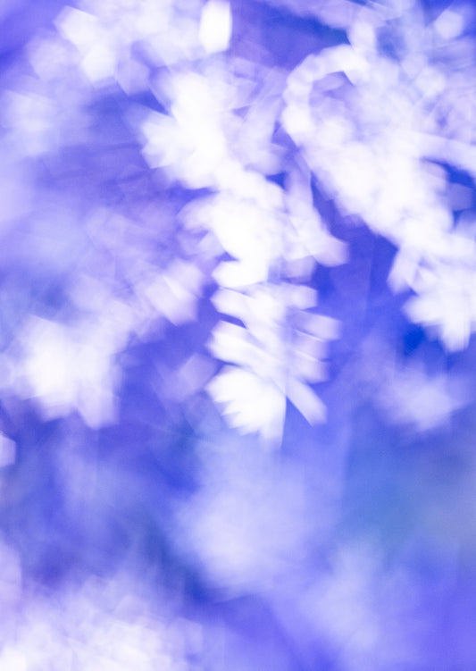 Lightness of Being a Leaf No. 06