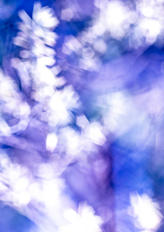 Lightness of Being a Leaf No. 07