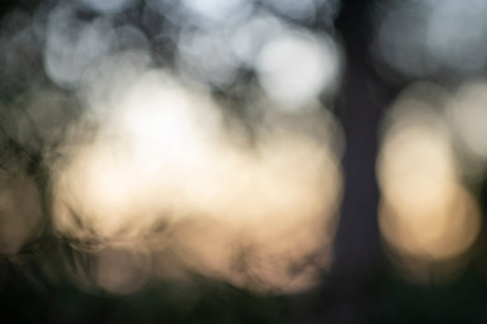 Into Darkness No. 08