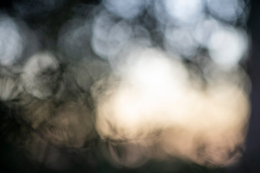 Into Darkness No. 07