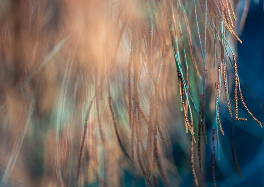 Lightness of Being a Leaf No. 04