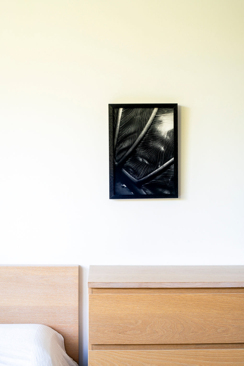 The Self in Botanical Form No. 02